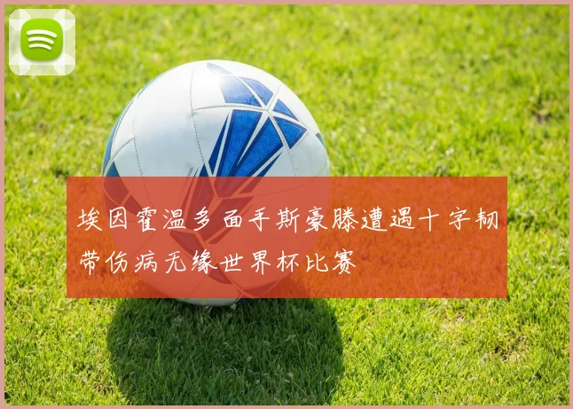 埃因霍温多面手斯豪滕遭遇十字韧带伤病无缘世界杯比赛
